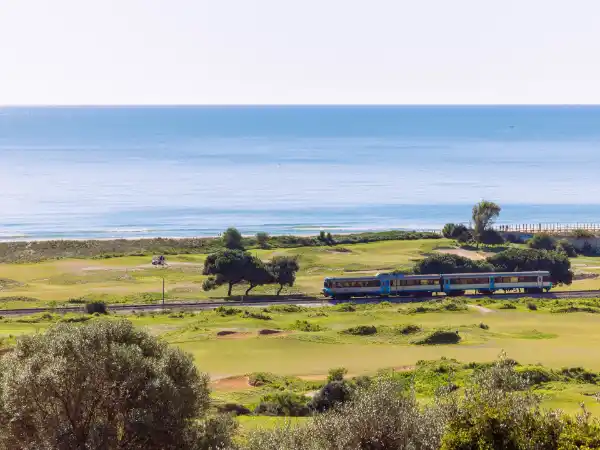 Palmares Golf