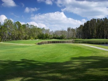 Saddlebrook Resort Palmer Course