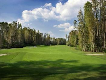 Saddlebrook Championship Golf Course