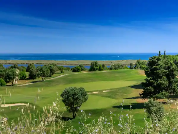 Palmares Golf