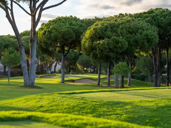 Dom Pedro Pinhal Golf Course