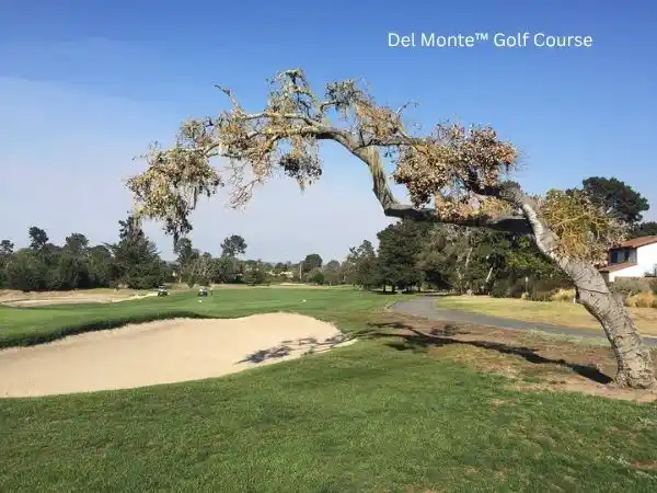 Del Monte Golf Course