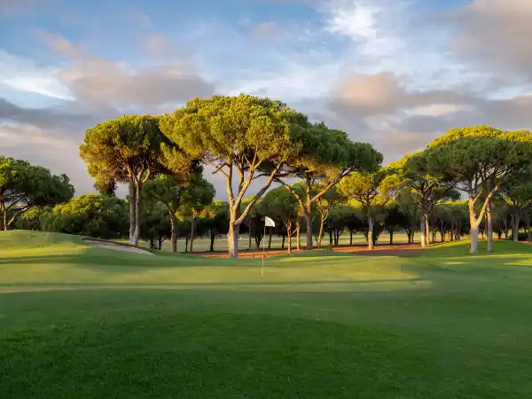 Dom Pedro Pinhal Golf Course