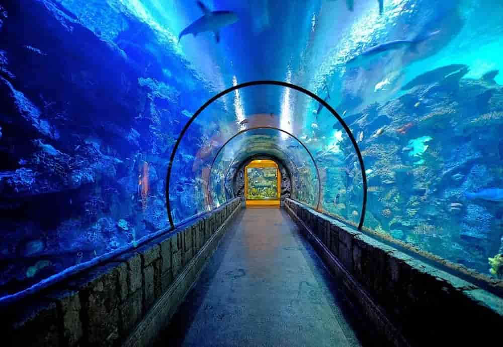 Mandalay Bay Resort & Casino