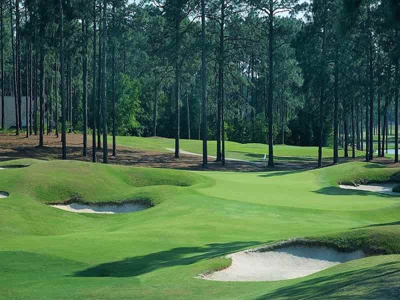Pinehurst No 9 Course