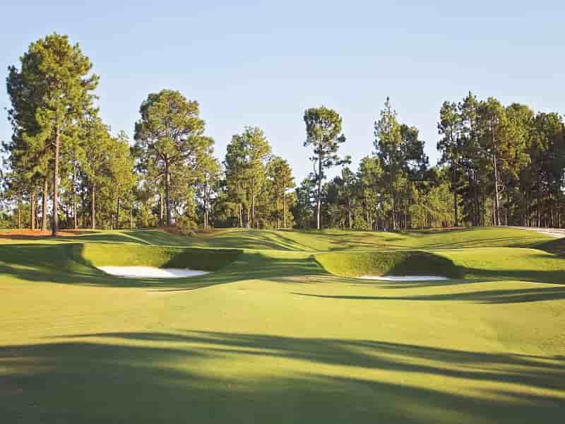 Talamore GC