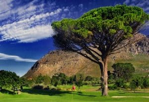 Westlake golf course