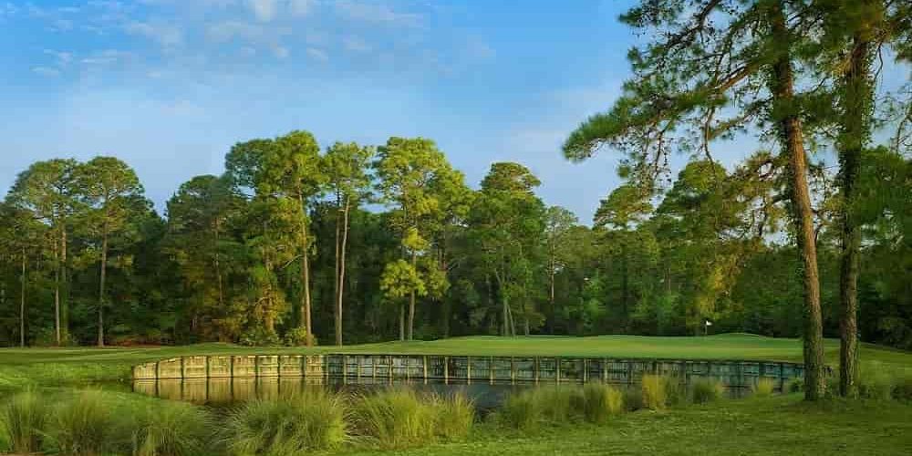Robert Cupp @ Palmetto Hall, Hilton Head Island