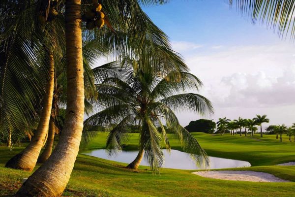 Royal Westmoreland Golf Club
