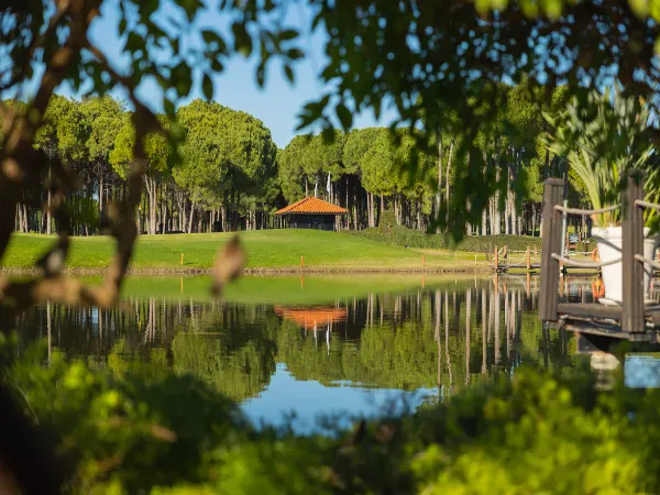 Sueno Golf Club