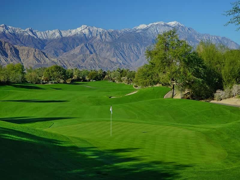 Desert Willow Mountain View GC