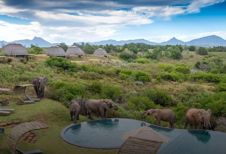 Gondwana Private Game Reserve on South Africa's Garden Route