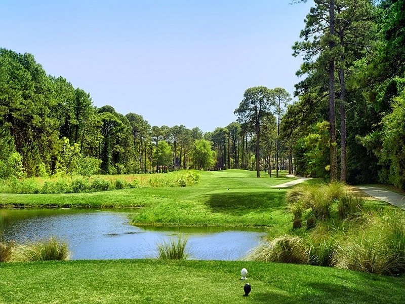 Robert Cupp at Palmetto Hall