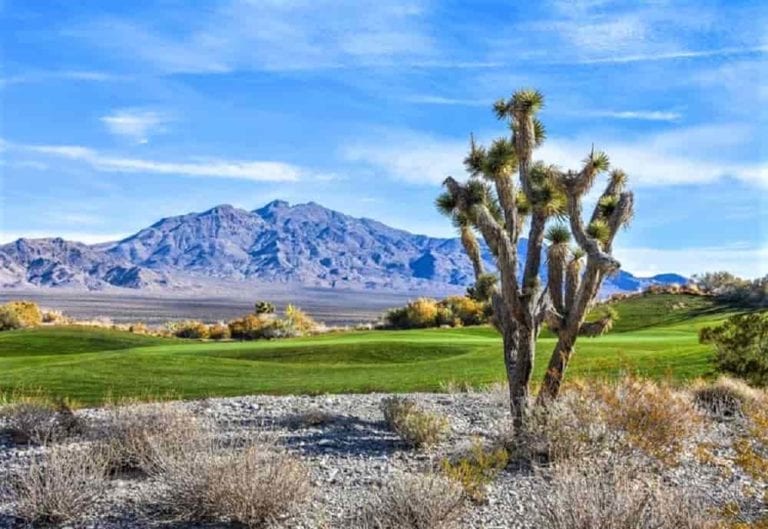 LV Pauite Resort - Snow Mountain GC