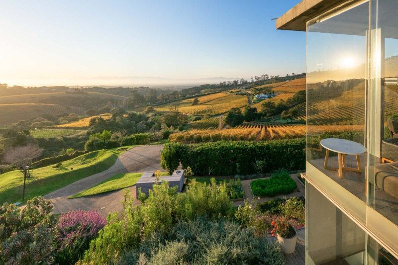 Vineyards and mountain views in South Africa's Cape Winelands